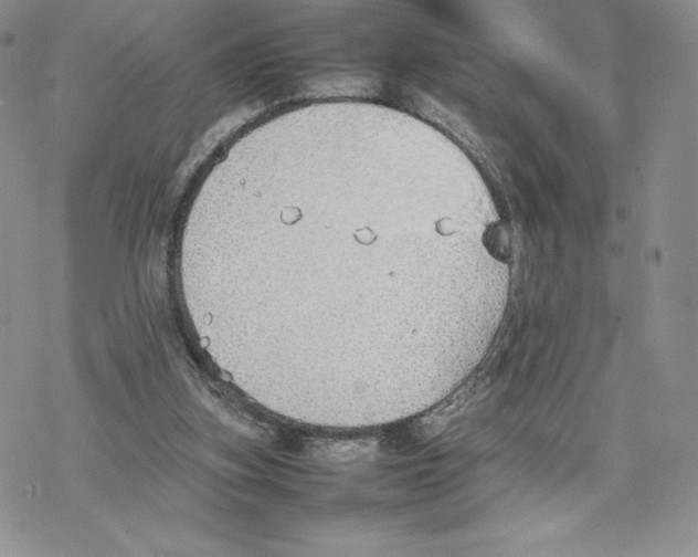 X0000077280155200611171611