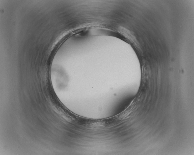 X0000077280156200611171611