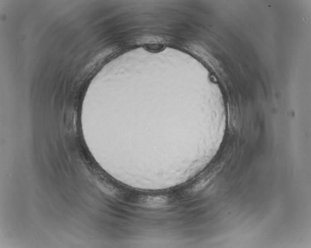 X0000077280157200611171611