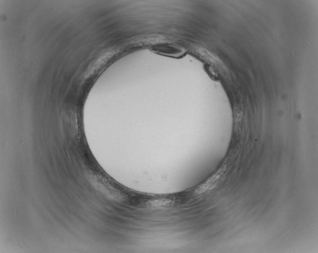 X0000077280158200611171611