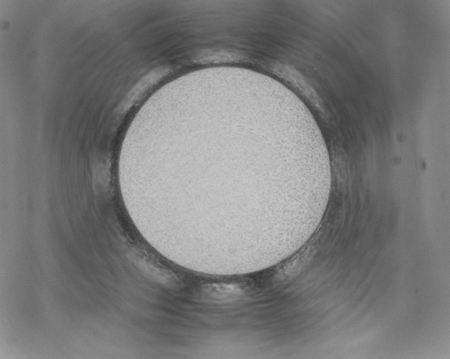 X0000077280159200611171611