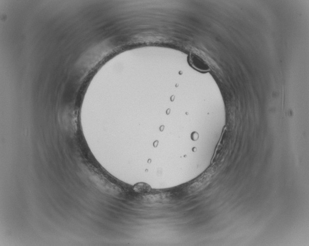 X0000077280160200611171611