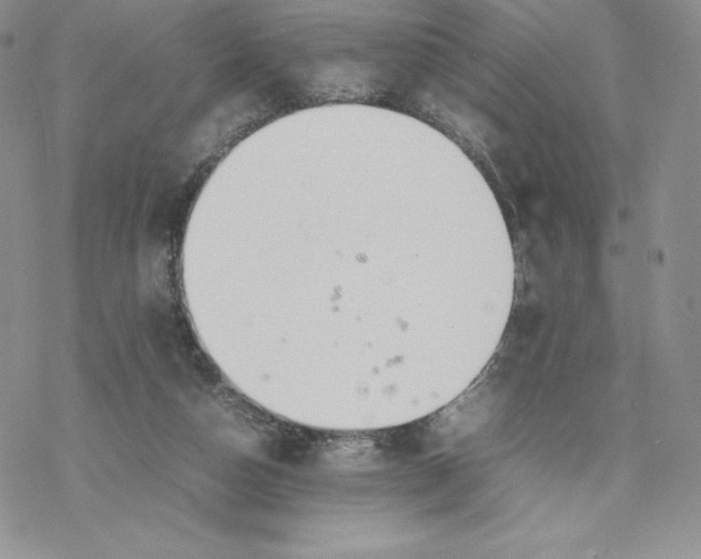 X0000077280162200611171611