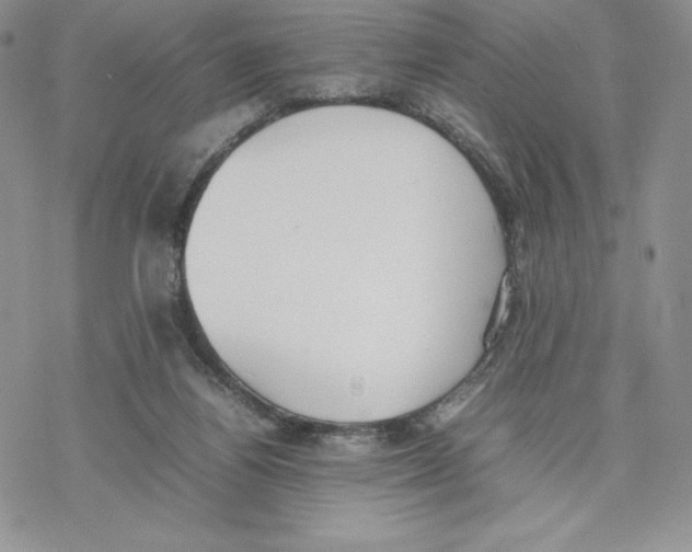 X0000077280164200611171611