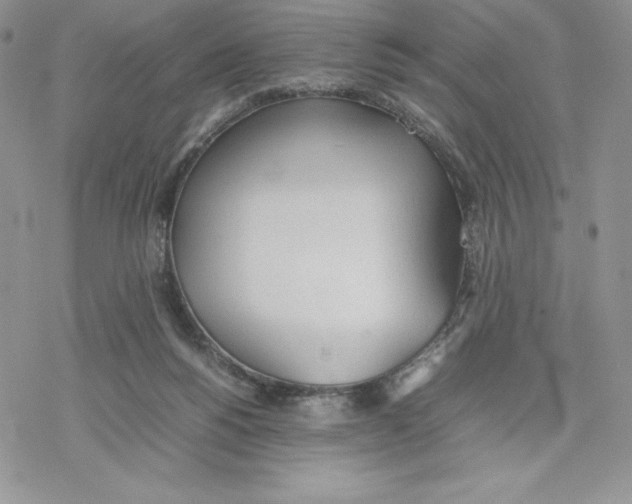 X0000077280168200611171611