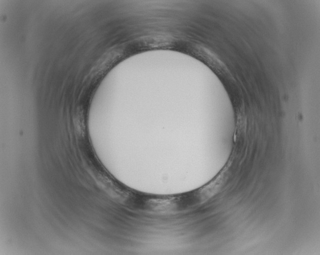 X0000077280170200611171611