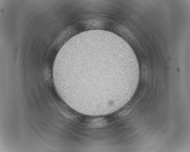 X0000077280173200611171611