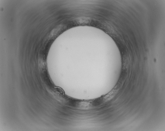 X0000077280176200611171611