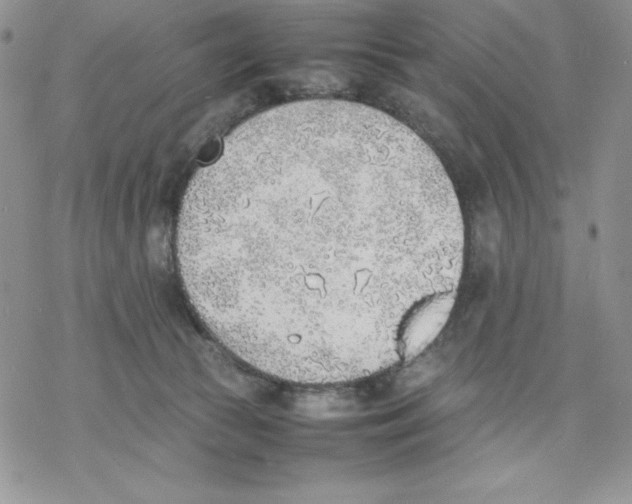 X0000077280177200611171611