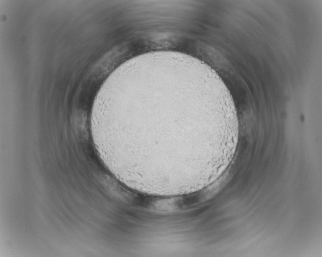 X0000077280178200611171611