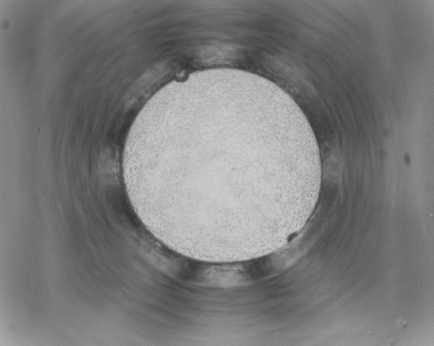 X0000077280179200611171611