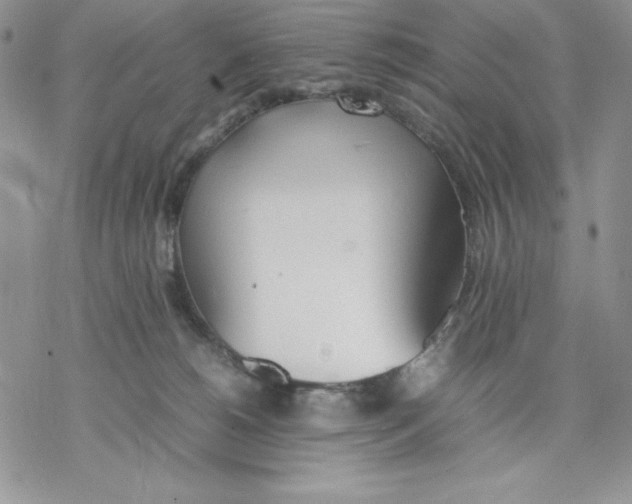 X0000077280180200611171611