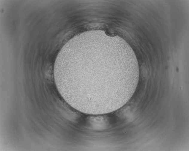 X0000077280181200611171611