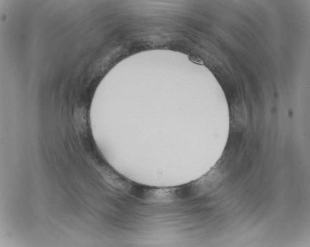 X0000077280184200611171611