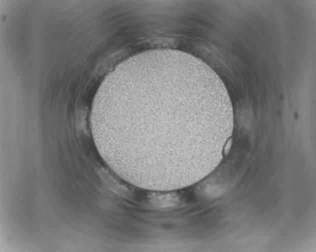 X0000077280185200611171611