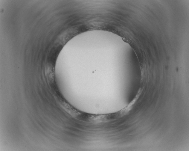 X0000077280186200611171611