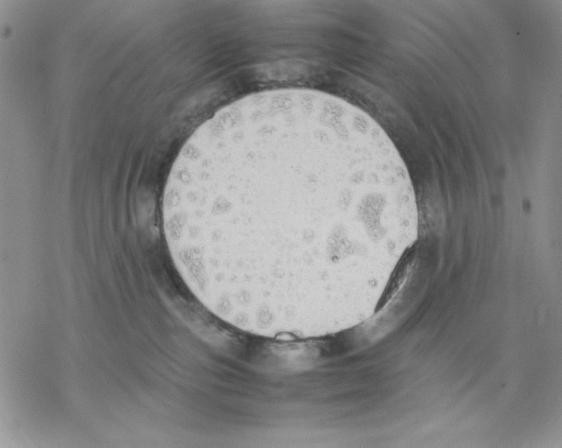 X0000077280187200611171611