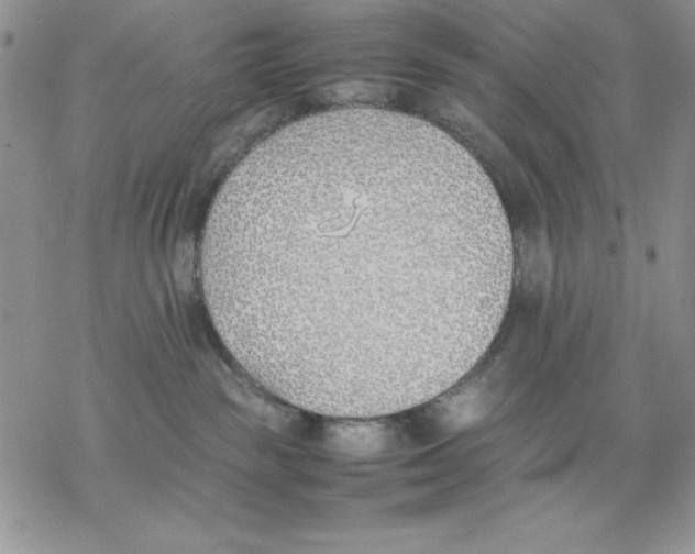 X0000077280189200611171611