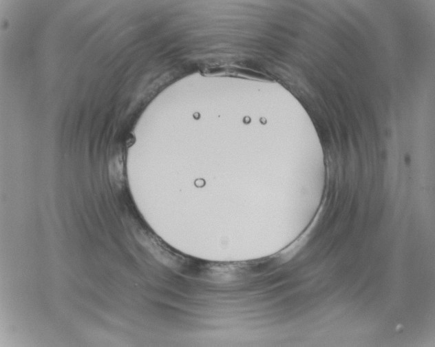 X0000077280190200611171611