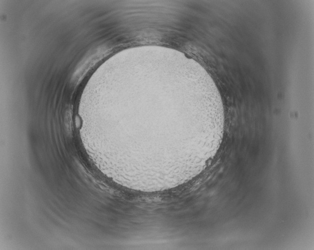 X0000077280194200611171611