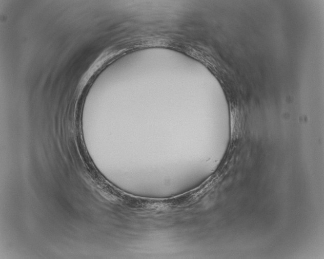 X0000077280195200611171611