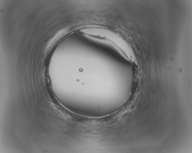 X0000077280197200611171610