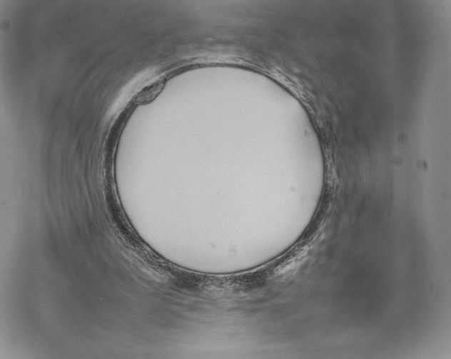 X0000077280199200611171610