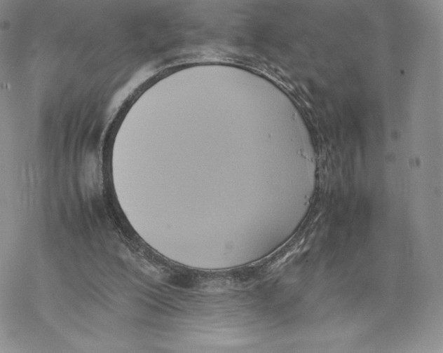 X0000077280200200611171610