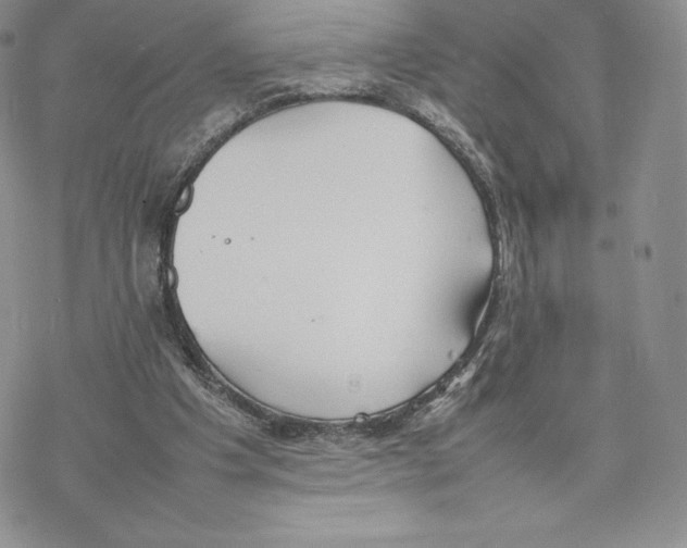 X0000077280201200611171610