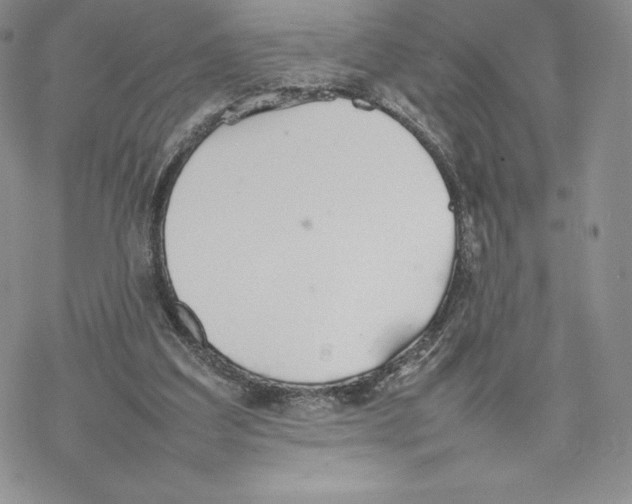 X0000077280203200611171610