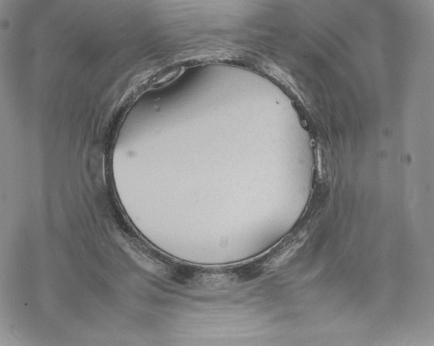 X0000077280205200611171610