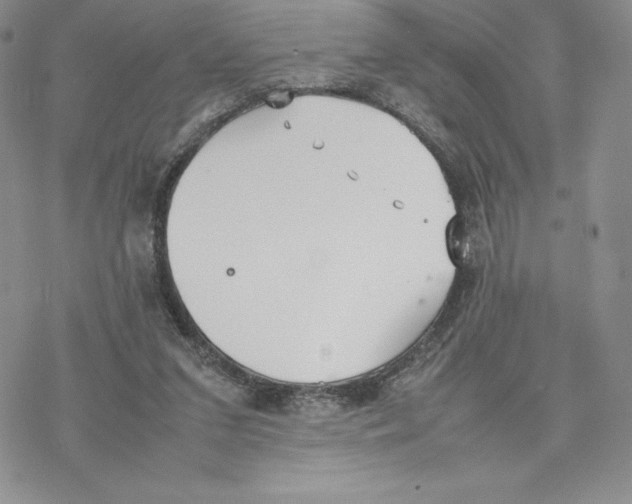 X0000077280207200611171610