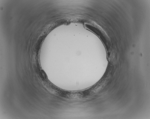 X0000077280209200611171610