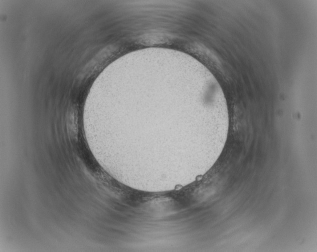 X0000077280210200611171610