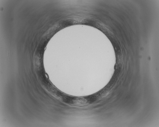 X0000077280215200611171610