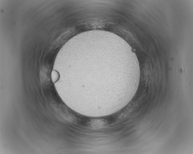 X0000077280218200611171610