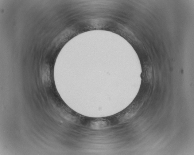 X0000077280220200611171610