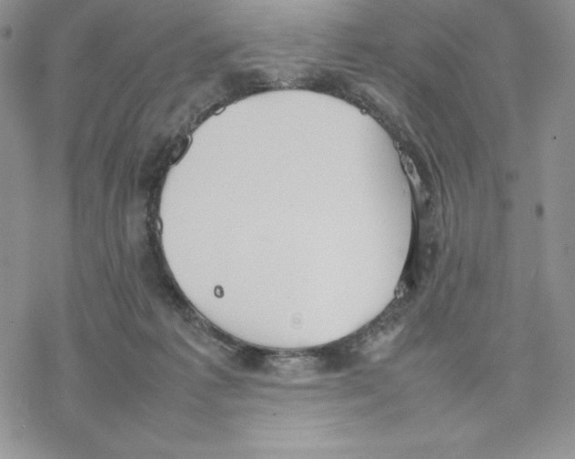 X0000077280221200611171610