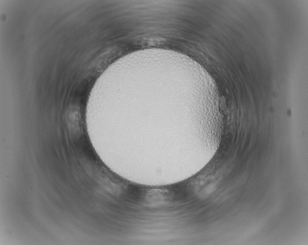 X0000077280222200611171610