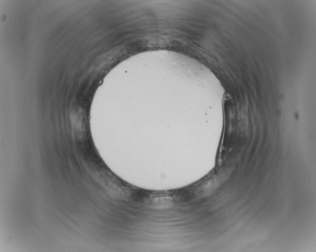 X0000077280228200611171610