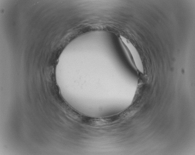 X0000077280229200611171610