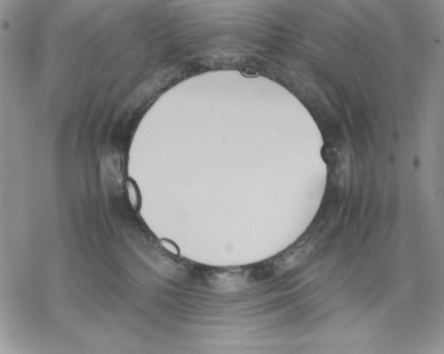 X0000077280232200611171610