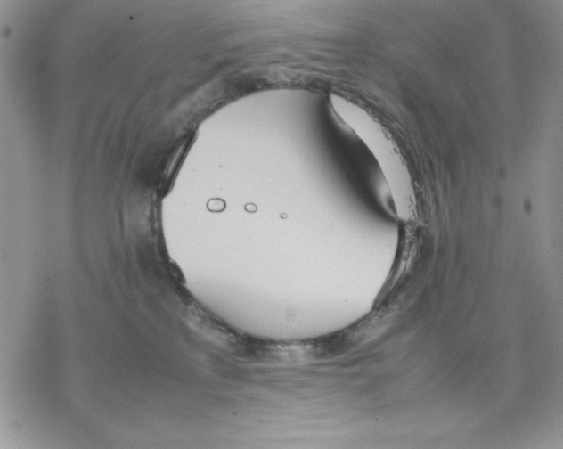 X0000077280233200611171610