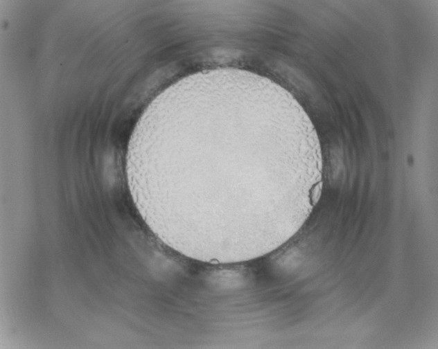 X0000077280236200611171610