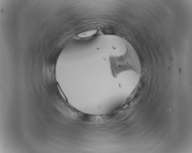 X0000077280239200611171610