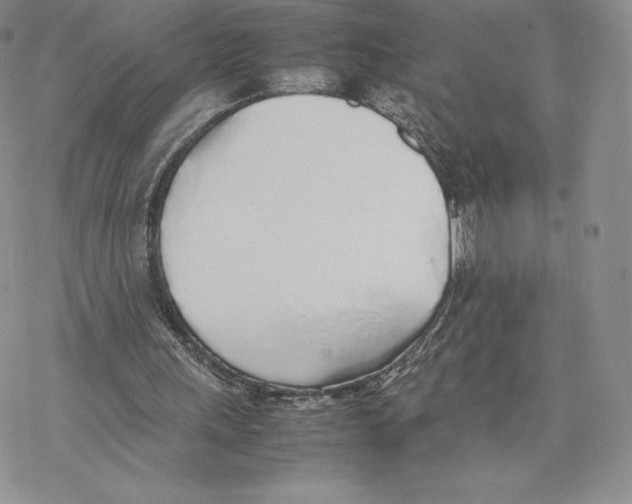 X0000077280243200611171609