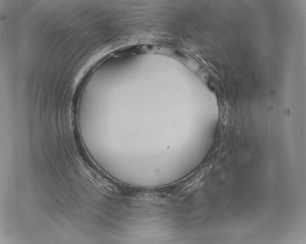 X0000077280244200611171609