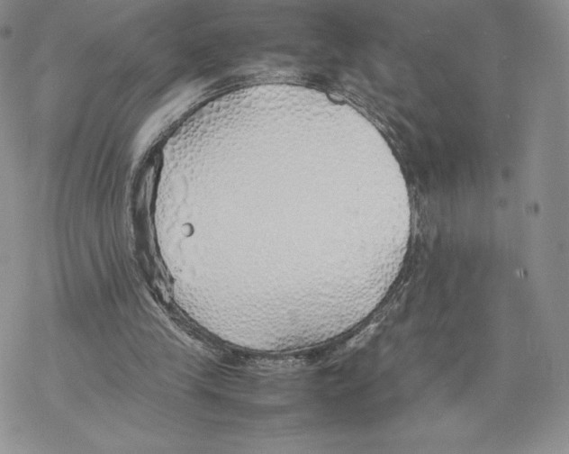 X0000077280245200611171609