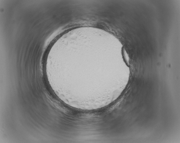 X0000077280246200611171609