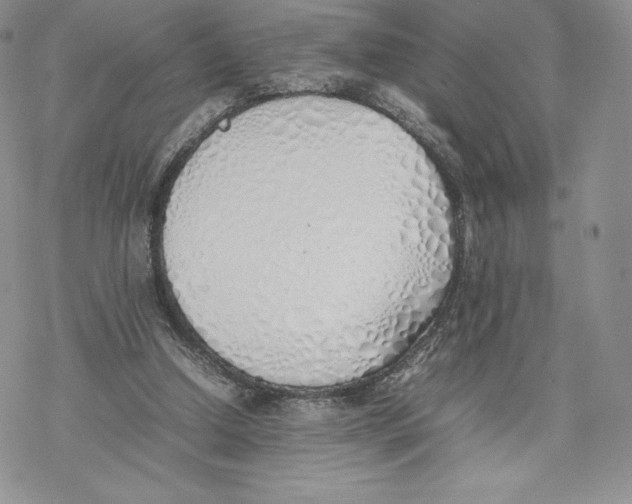 X0000077280250200611171609